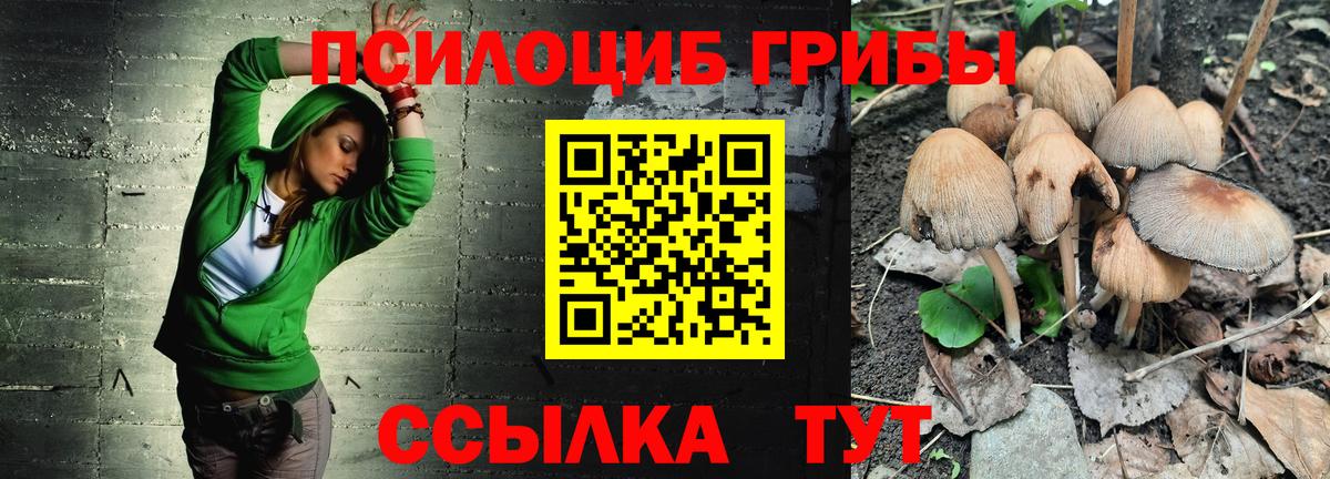 Норильск  Галлюциногенные грибы мухоморы  где продают наркотики  Вход с VPN 