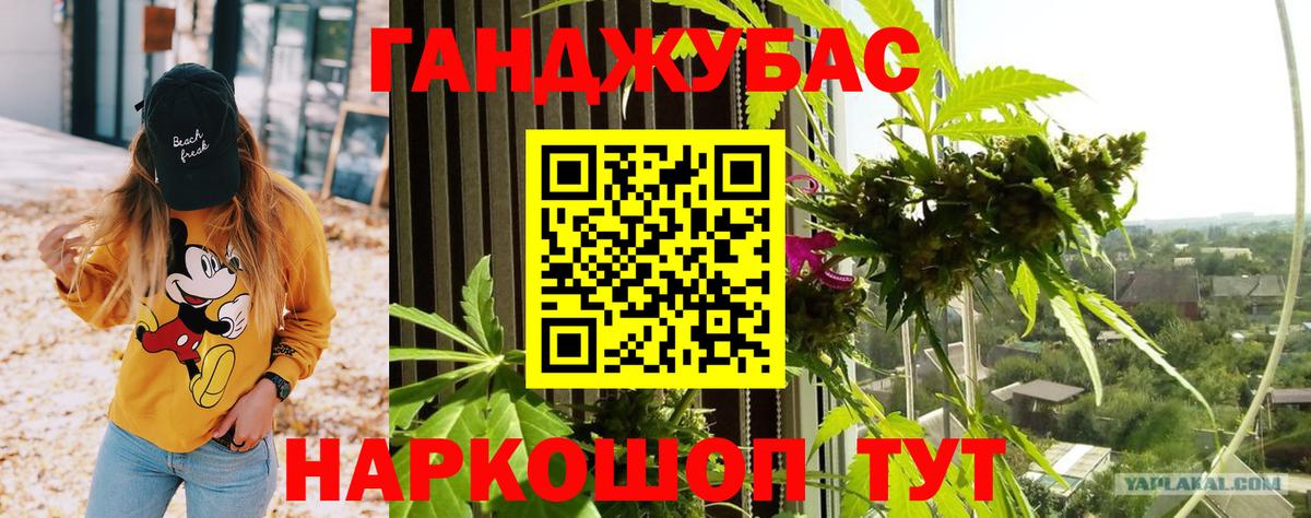Бошки Шишки Amnesia Норильск